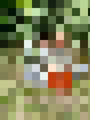 Inta
