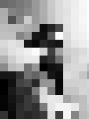 Signe