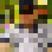 RR