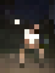 Gvido