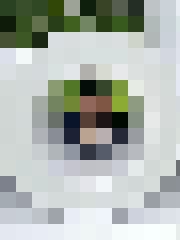 Inga