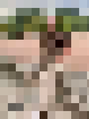 Gvido