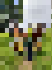 Viņa