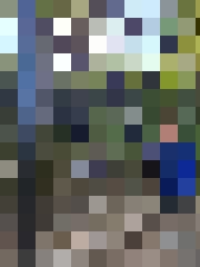 Līga