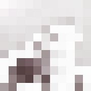 ::::::::