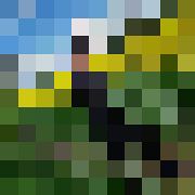 Igors