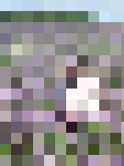 INGA