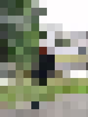 Armands