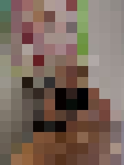 Ani