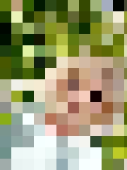 Saulespuķe