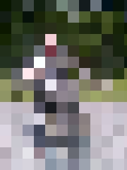 Harītis