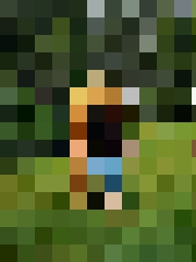 Līga