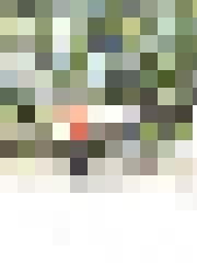 Ag