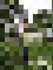 Diāna