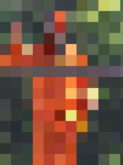 Aivars