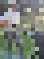 Oskars