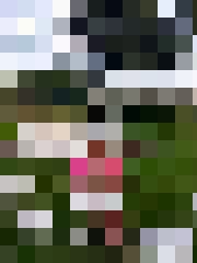 Inga