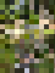 Ainārs