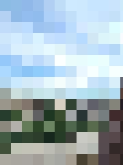 N_L_