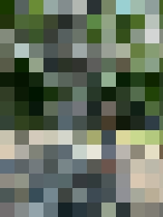 A.