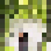 Dace