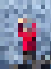 Kalvis