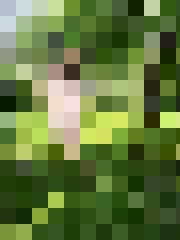 Inga