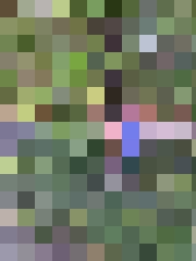 Ilvars