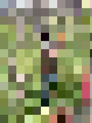 Armands