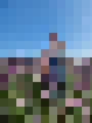 Daiga
