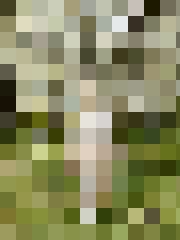 Ināra