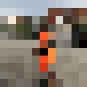 Igo