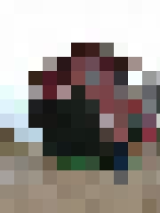 Aivars