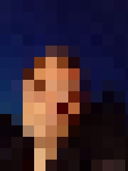 GVIDO