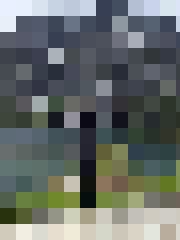 Artūrs B