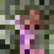 Iveta