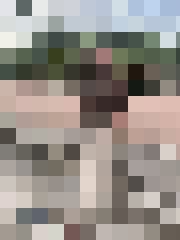 Gvido