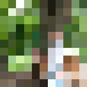Imants
