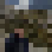 Ilgvars