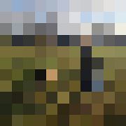 Igors