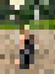 Salva