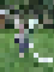 kreimene