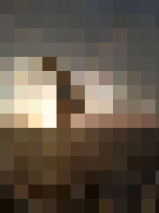 Arvis
