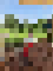 Inga