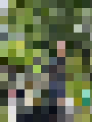 Oskars