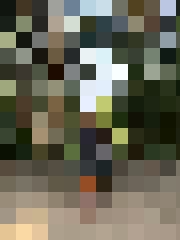 Ar vārdu